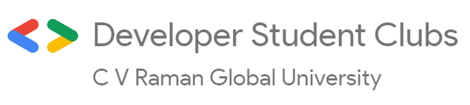 dsc-logo